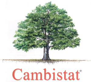 Cambistat