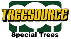 TreeSource