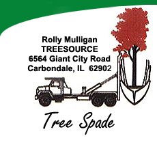 TreeSource Tree Spade