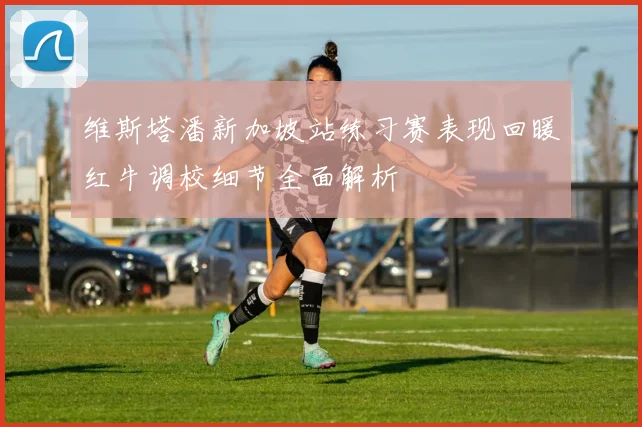 维斯塔潘新加坡站练习赛表现回暖红牛调校细节全面解析